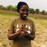 Chaona Phiri