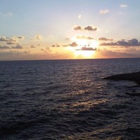 Roland Soueid