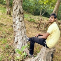 Dinesh Rajput