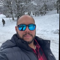 Servando Bermudez Ovies