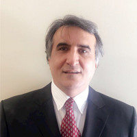 Behzad Hamidizadeh