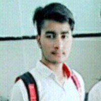 Vikas Dhull