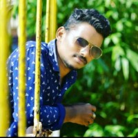 Narendra Viswanadhapalli
