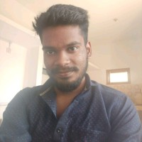 Paraneetharan N