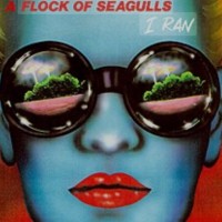 Iran By Flock Of Seagulls