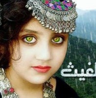 نبض القلوب