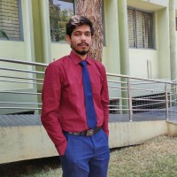 Ramanarayan M N