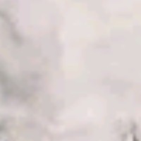 Alexandre Maurice