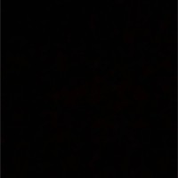 Guilherme Fontanella Sander