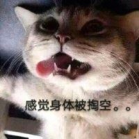 曹新阳