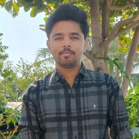 Vishal Bhamare