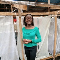 Chioma Moses