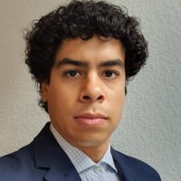 Luiz E. D. de Oliveira