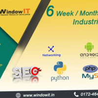 Windowit Chandigarh