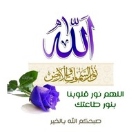 Mohamed Afifi