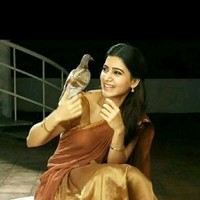 Balanjaneyulu A