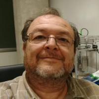 Gustavo Wolfmann