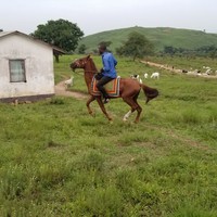 JUSTIN LIYNYUY BONGMBAM