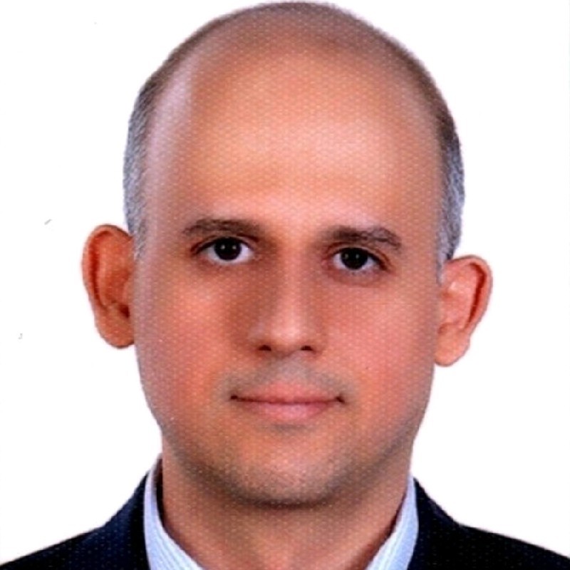 Behdad Berenji
