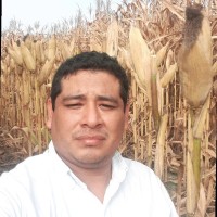 Vidal Ademir Cuzcano Ramos
