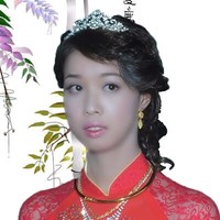 bao tran
