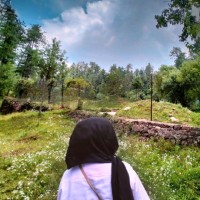 Asma Nisar