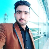 Muhammad Hamza Saleem