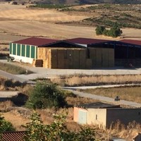 Jose  Felix Melida Calleja