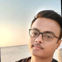Souvik Roy Choudhury