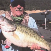 Lou ferrante