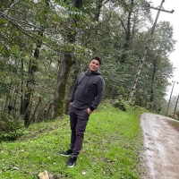 M Ali Mohammadi