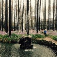 郑东晖