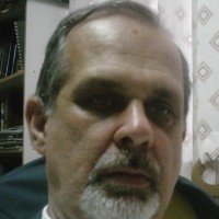 Nelson Stein Dunham