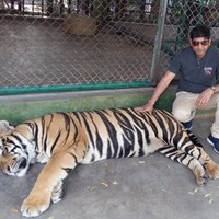 Narendra Singh Shekhawat