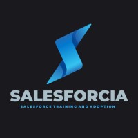 Salesforcia IT Consulting Partner