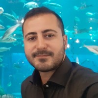 Sedat Bal