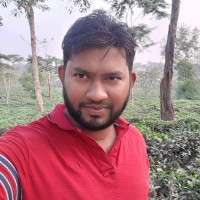 M A Alim Ripon