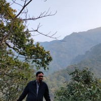 Dheerendra Singh Sengar
