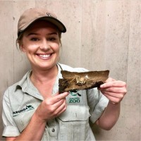 Jessica Porter (Cook)