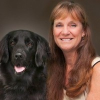 Debra Kessler, Realtor