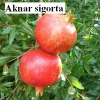 Aknar Si̇gorta