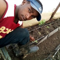 George Kimani