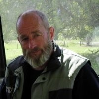 William Simcox
