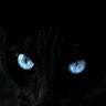 Mahesh . V