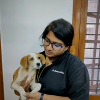 Dr. Namratha L Pathi