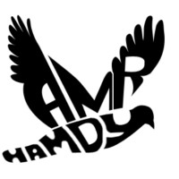 Amr Hamdy
