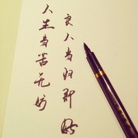 谢伟涛