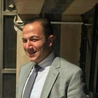 Tarek Anas