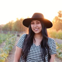 Brenda Villarreal