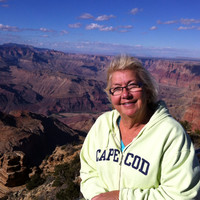 Cindy Stein